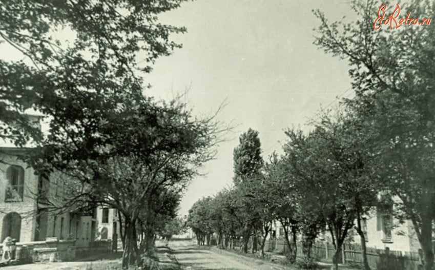 Хмельницкая область - Хмельницкий, Гречаны.