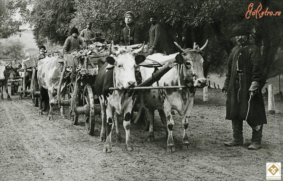 Черкасская область - с.Керелівка. Черкащина.  Чумацька валка. Фото Г.П.Шевченко.