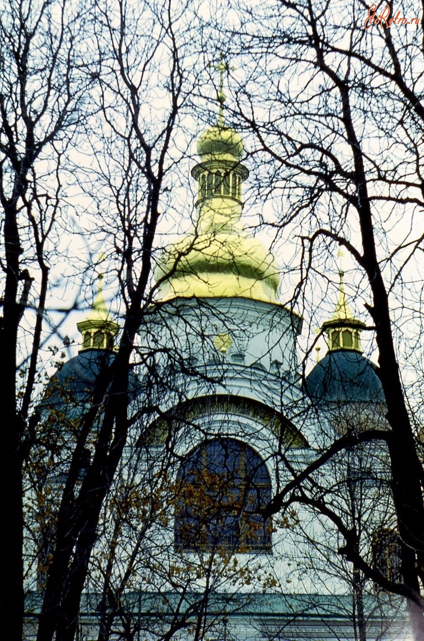 Киев - Купола Софии в паутине Украина,  Киев