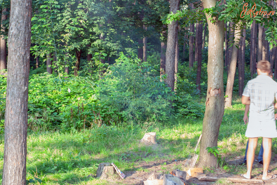 Киев - 2011 год (06.08.2011). Украина. Киев. Борщаговка. Парк 