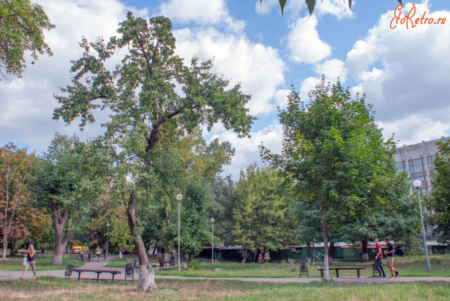 Киев - 2015 год (20.08.2015). Украина. Киев. Сквер им. Елены Телиги (Поляна КПИ). 2015 (20.08.2015). Ukraine. Kyiv. Kyiv Polytechnic Institute. Olena Teliga Square.
