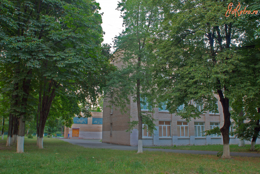 Киев - 2016 год (17.07.2016). Украина. Киев. Борщаговка. Лицей № 197. 17.07.2016. Ukraine. Kyiv. Borshchahivka. Lyceum № 197.