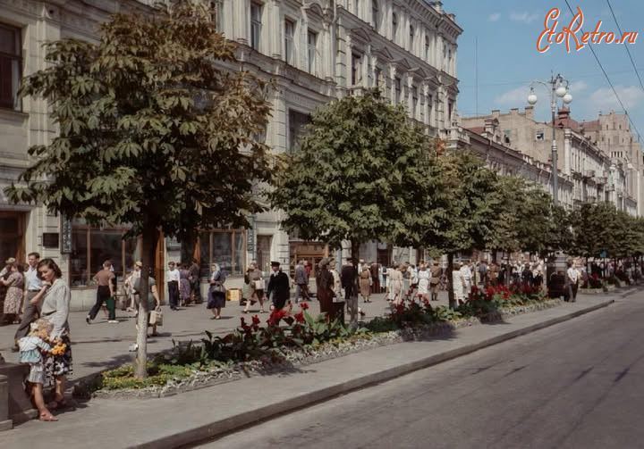 Киев - Київ.  Клумби на Хрещатику.