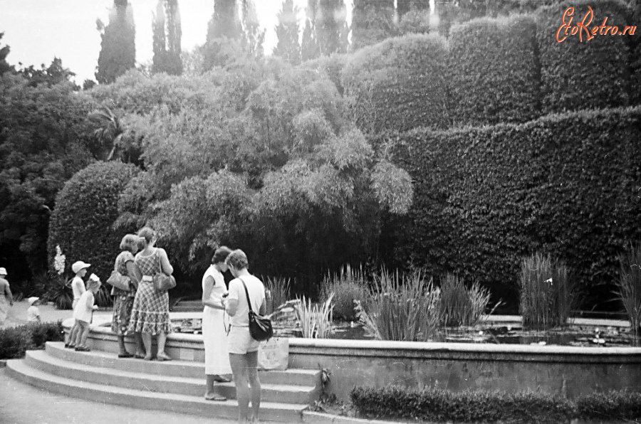 Ялта - Никитский ботанический сад.