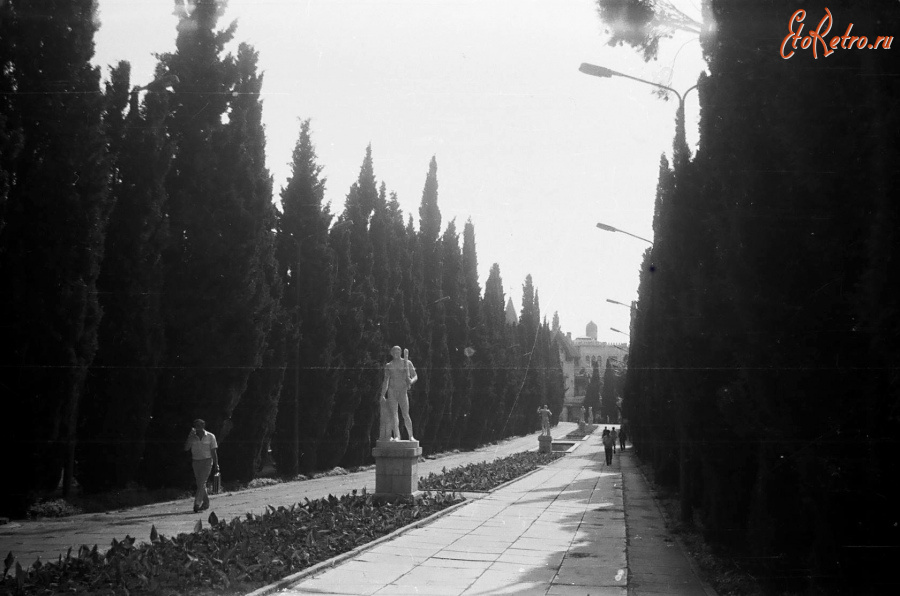 Симеиз - Кипарисовая аллея в Симеизе.