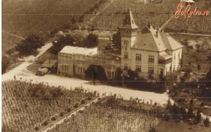 Берегово - Берегове.  Резиденція  графа Шенборнів.