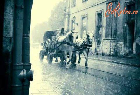 Львов - Бричка на вулиці Львова.