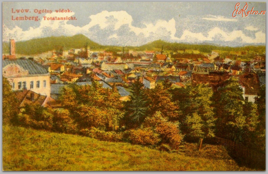 Львов - Львів. Загальний вид.