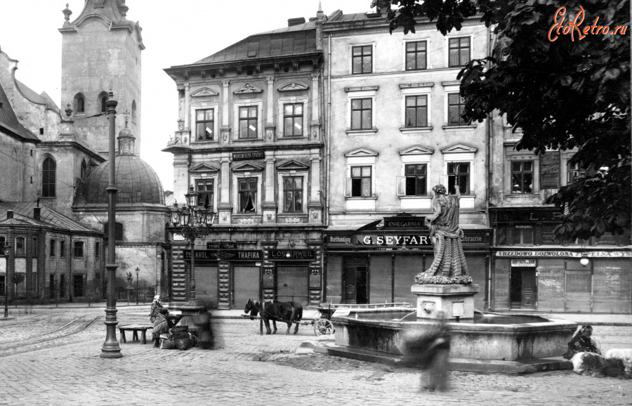Львов - Львів.  Фрагмент ринку. Поч.ХХ ст.