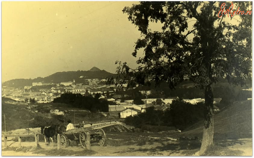 Львов - Львів.  Вул.Зелена.  Панорама міста.