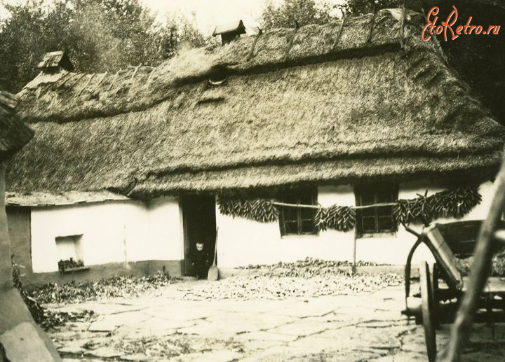 Городенка - с.Семаківці (Городенківський р-н).