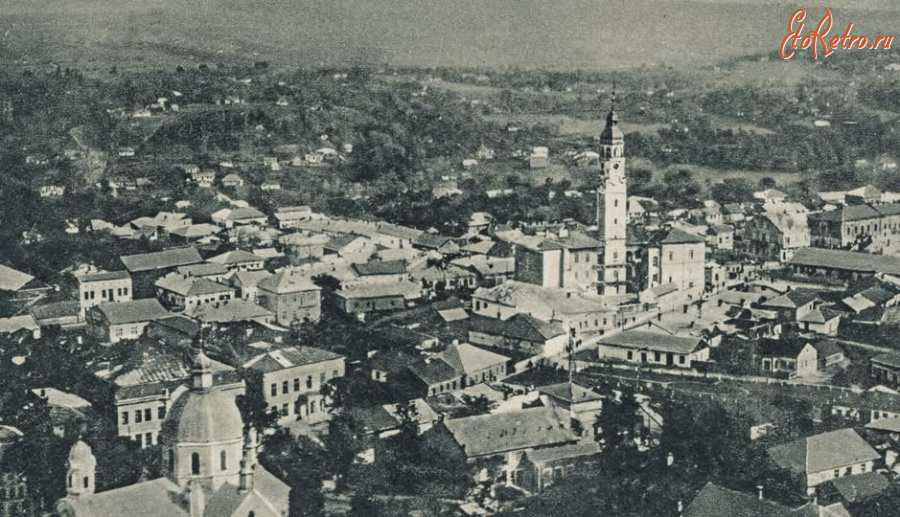 Снятын - Снятин.  Загальний вид.