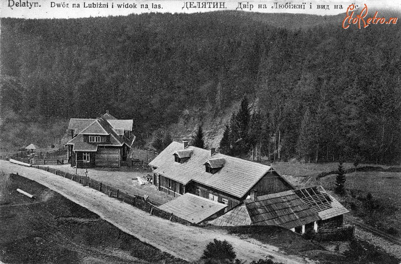 Делятин - Делятин.  Двір на Любіжні і вид на ліс.