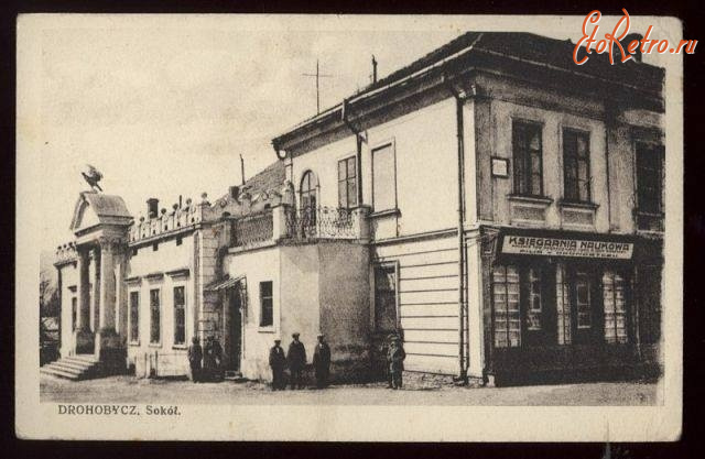 Дрогобыч - Дрогобич.  Сокол.