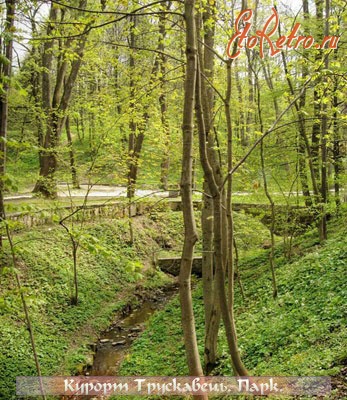 Трускавец - Трускавець. Курортний парк.