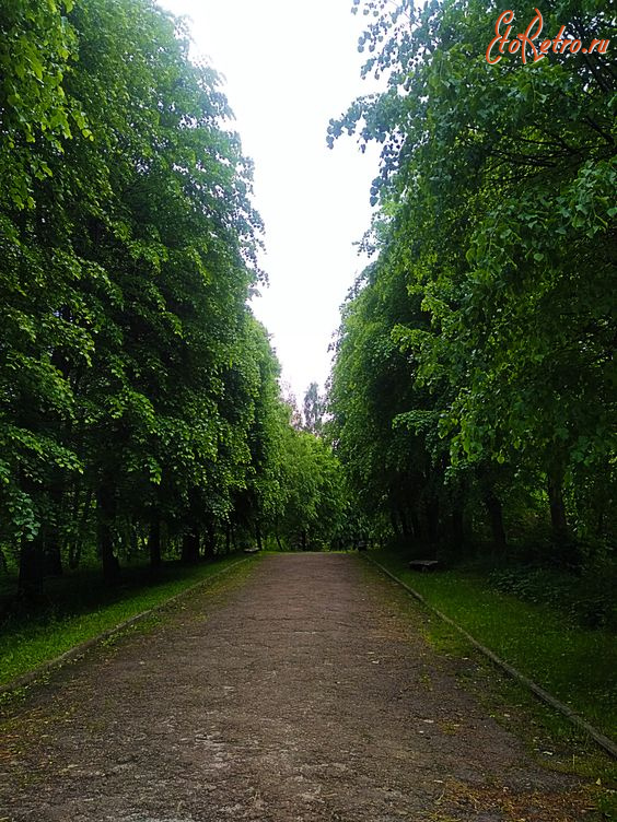 Трускавец - Трукавець. Алея в парку.