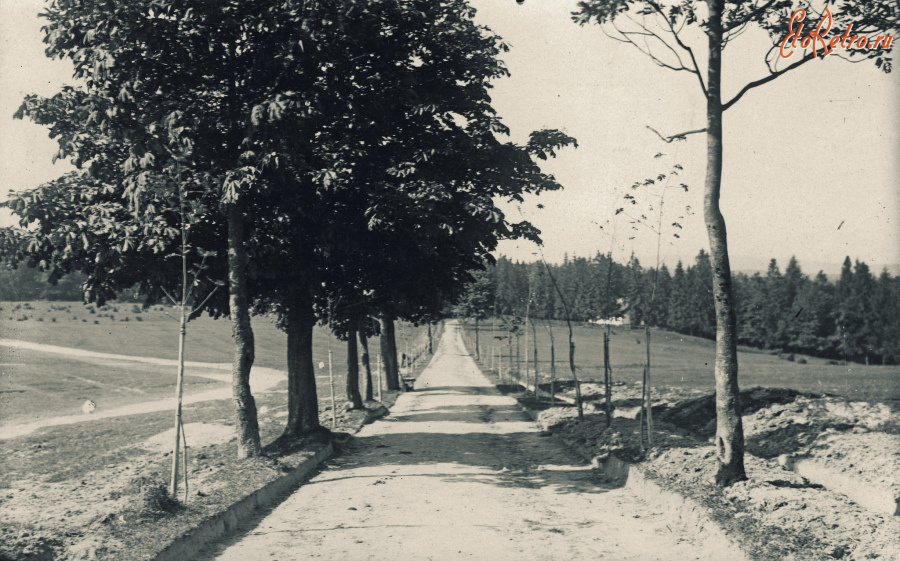 Трускавец - Трускавець.  Дорога на Городищі.