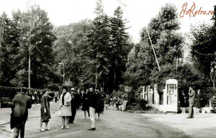 Трускавец - Трускавець. В курортному парку.