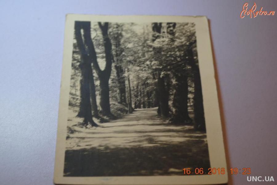 Трускавец - Курорт Трускавец.  Алея к источникам.