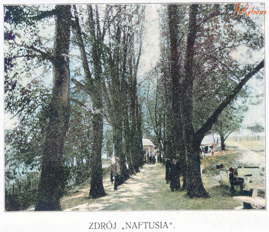 Трускавец - Трускавець.  Джерело  