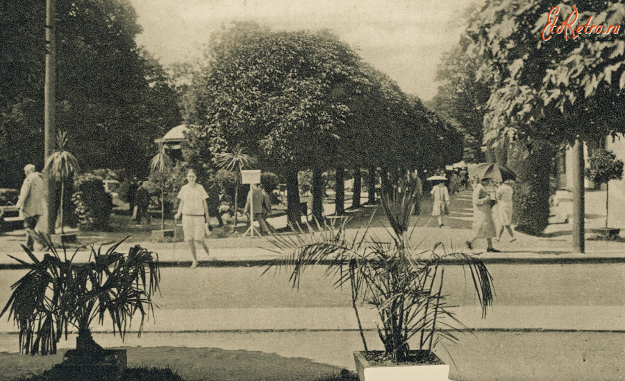 Трускавец - Трускавець.  Вхід до парку.