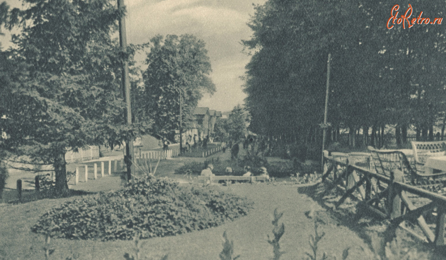 Трускавец - Трускавець. Клумби в курортному парку.