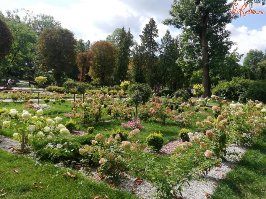 Трускавец - Трускавець.  Квіти в курортному парку.