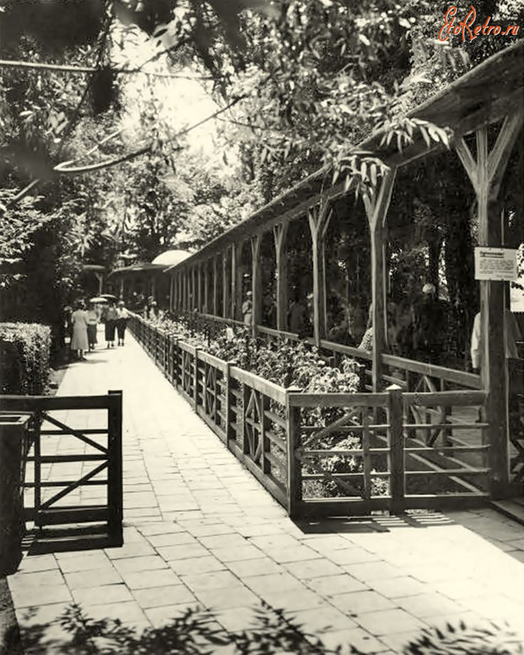 Трускавец - Трускавець.  Крита галерея при джерелі  