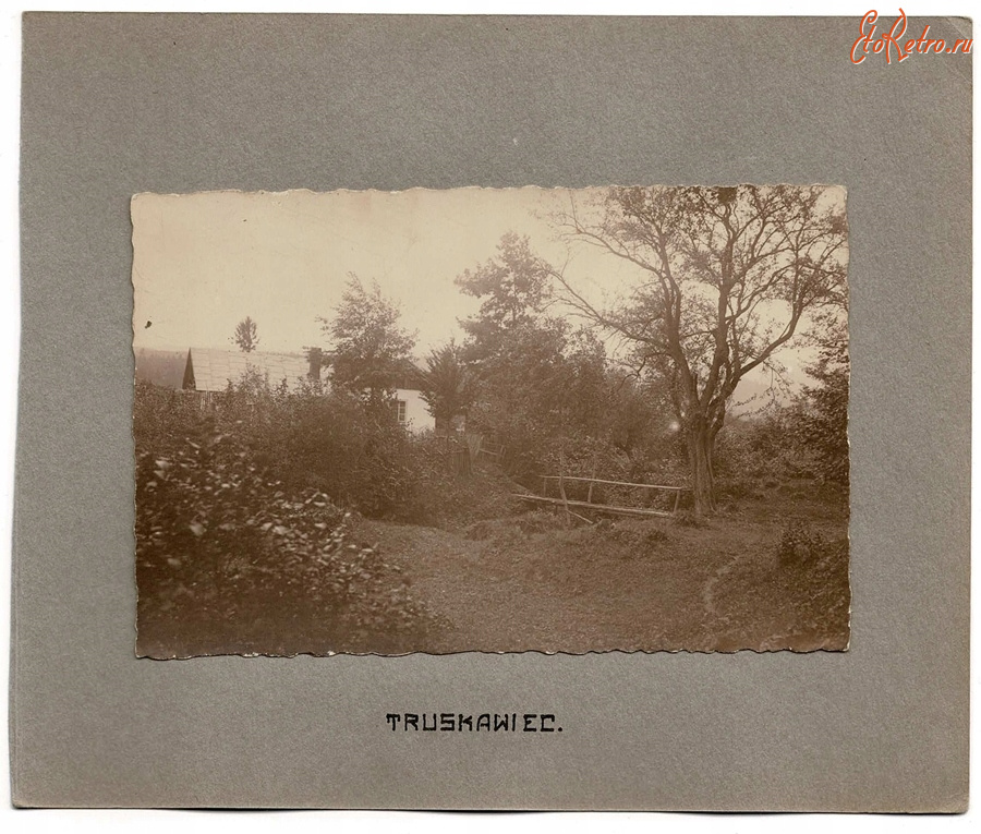 Трускавец - Трускавець.  Дерев