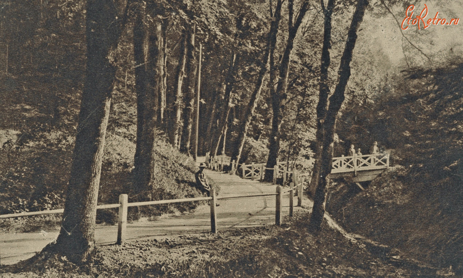 Трускавец - Трускавець. Курортний парк.