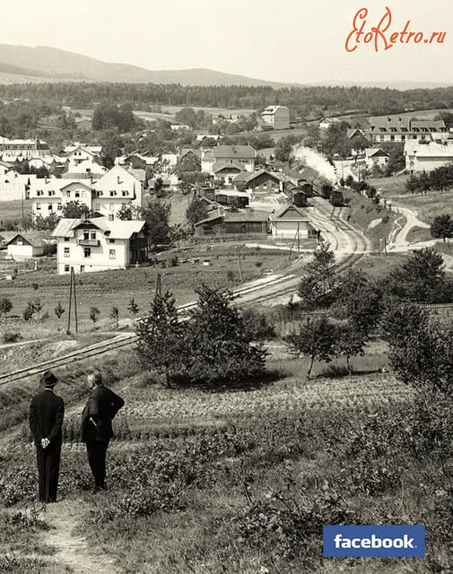 Трускавец - Вигляд Трускавця з Гошівської гори.