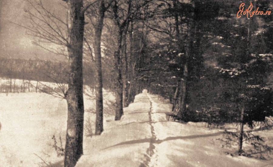 Трускавец - Трускавець.  Верхній парк курорту Городищк взимку.