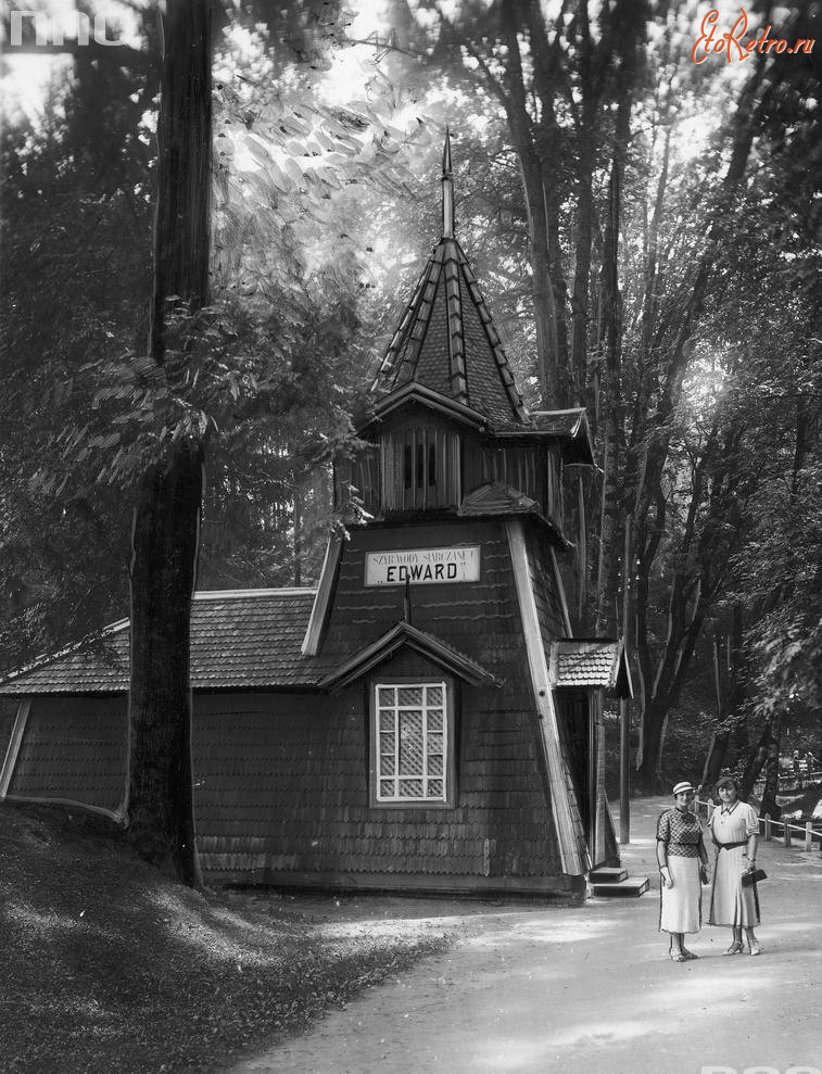 Трускавец - Трускавець.  Джерело  