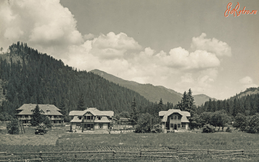 Сколе - Гребенів.  Вілли.