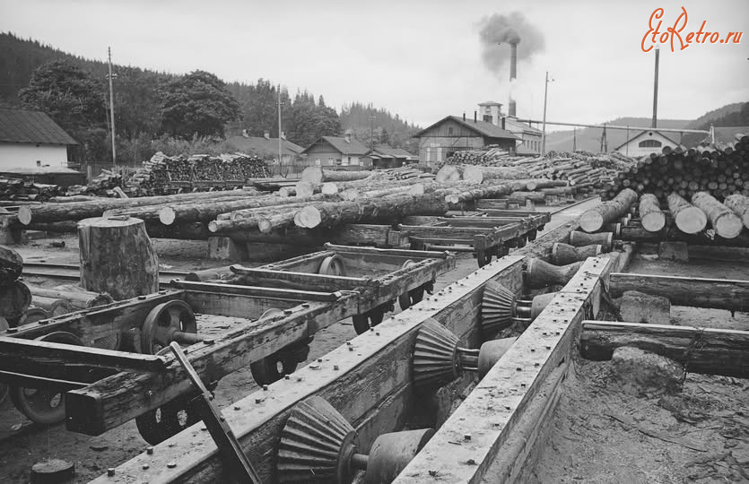 Сколе - Сколе, Стрийського повіту.  Тартак.