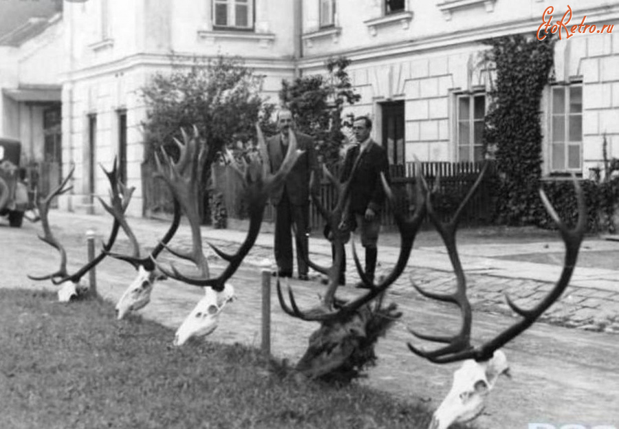 Сколе - Сколе. Полювання в лісах барона Гродля перед палацом.