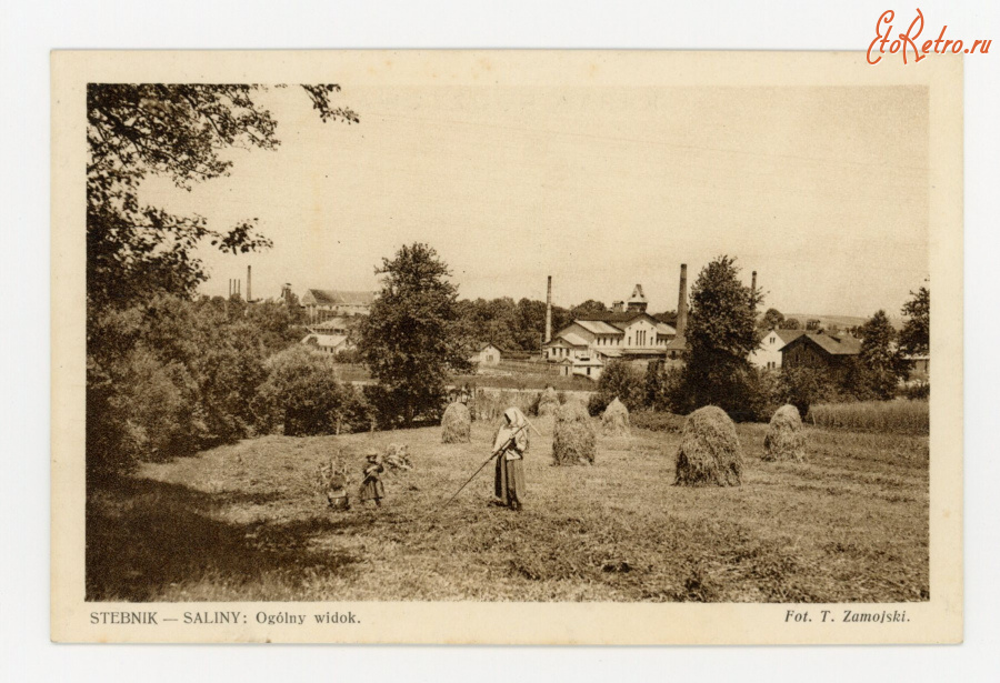 Стебник - Стебник-  Саліна.  Загальний вигляд.