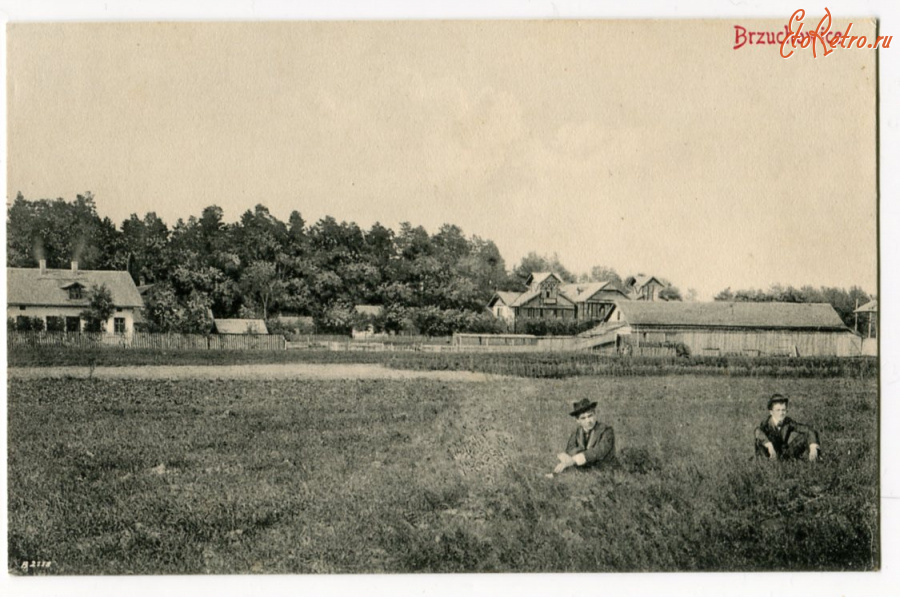 Брюховичи - Брюховичі.  Вид на вілли.