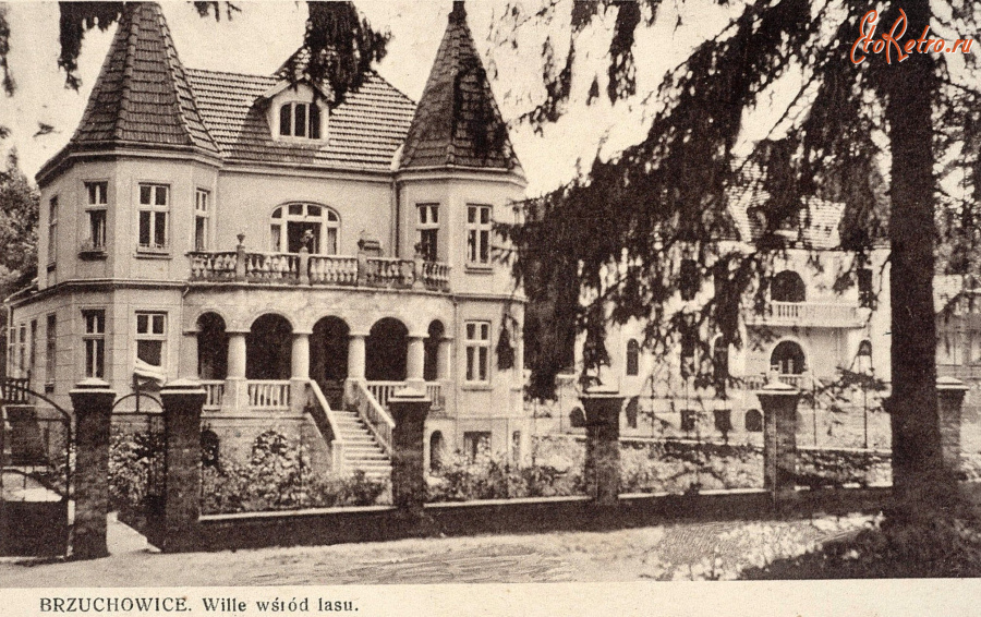 Брюховичи - Брюховичі.  Вілла серед лісу.