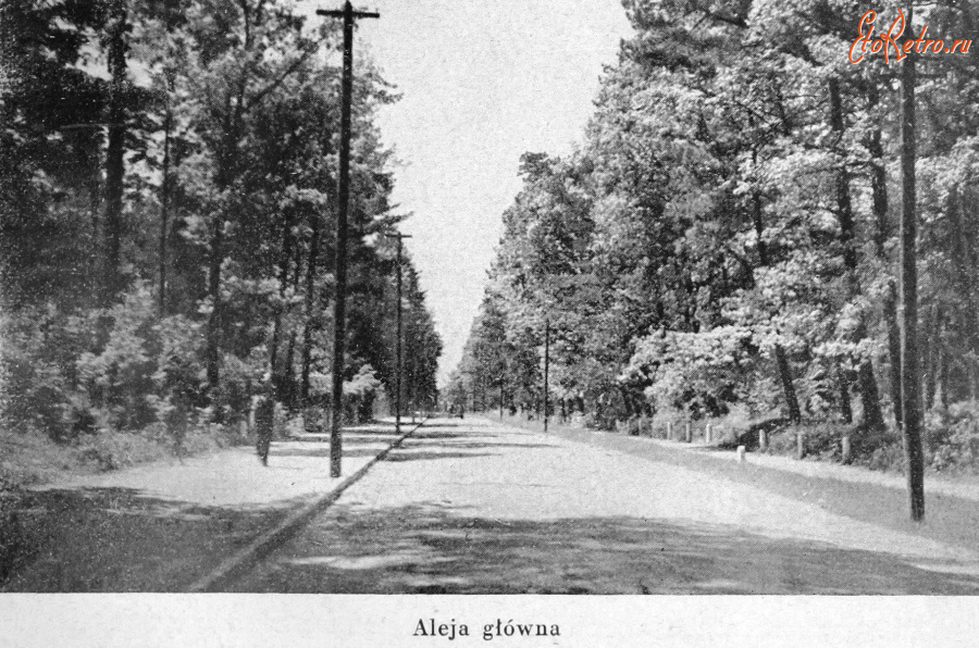 Брюховичи - Брюховичі.  Головна алея.