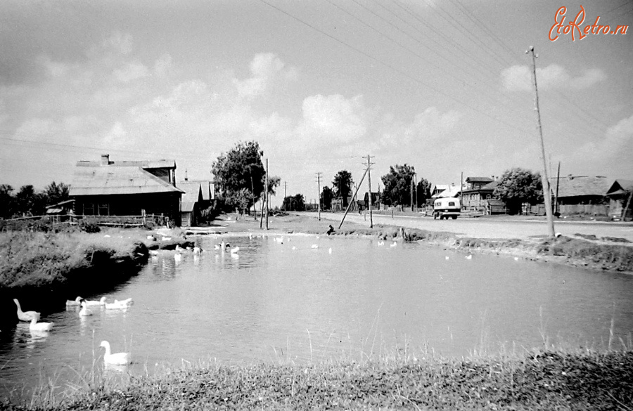 Вязники - Улица Горького. Пруд у дома №96.