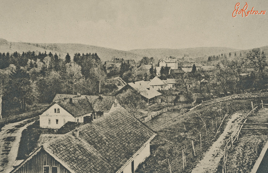 Борыня - Бориня (Самбірського р-ну). Загальний вид.