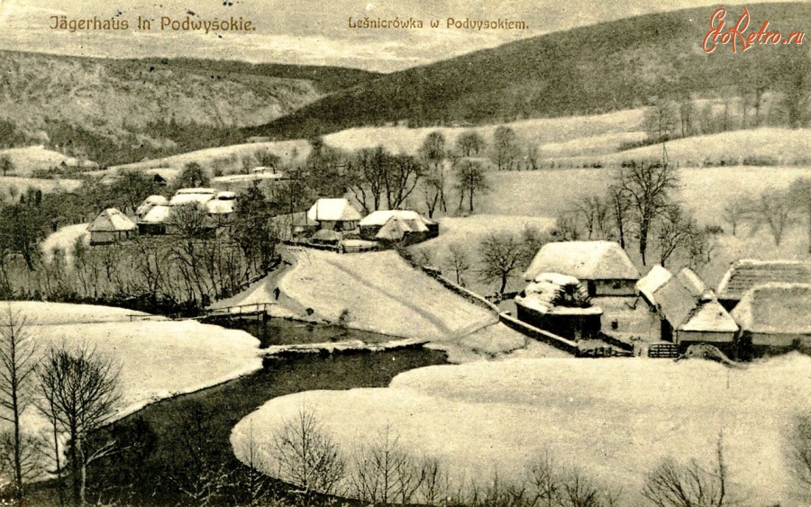 Бережаны - с.Підвисоке (Бережанський р-н). Лісничівка.