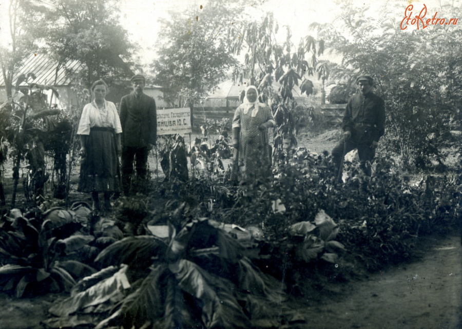 Мерефа - сільськогосподарська виставка 1914