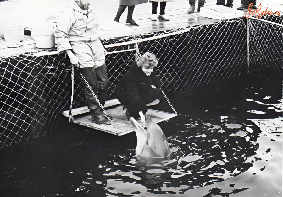 Севастополь - В дельфинарии.