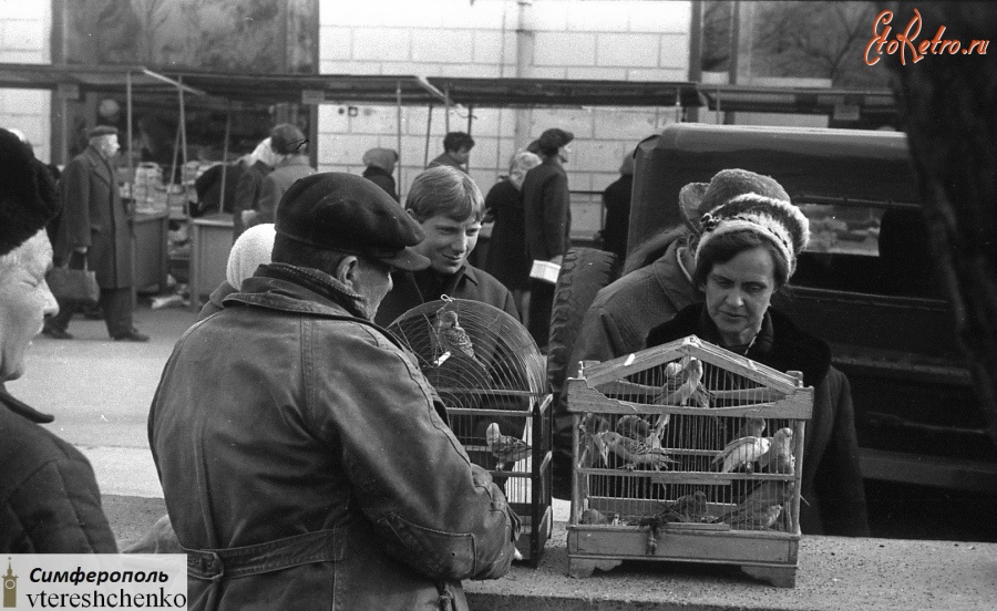 Симферополь - Симферополь. Птичий рынок на колхозном рынке (1970)