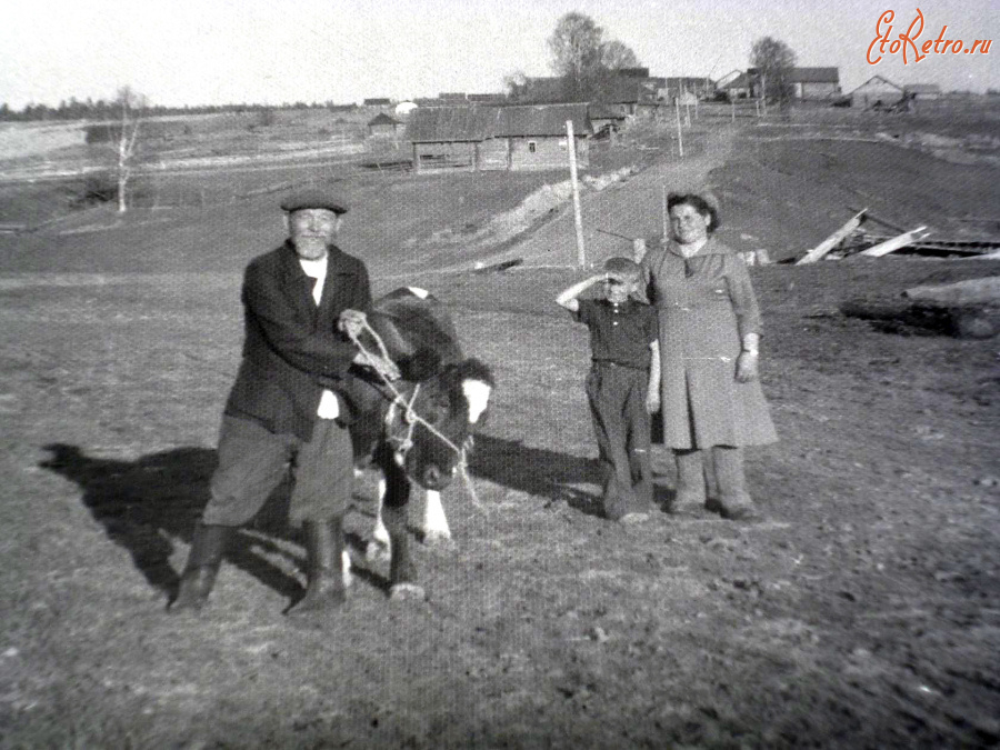 Никольск - Барсамоново. Пермасское сельское поселение. Никольский район.