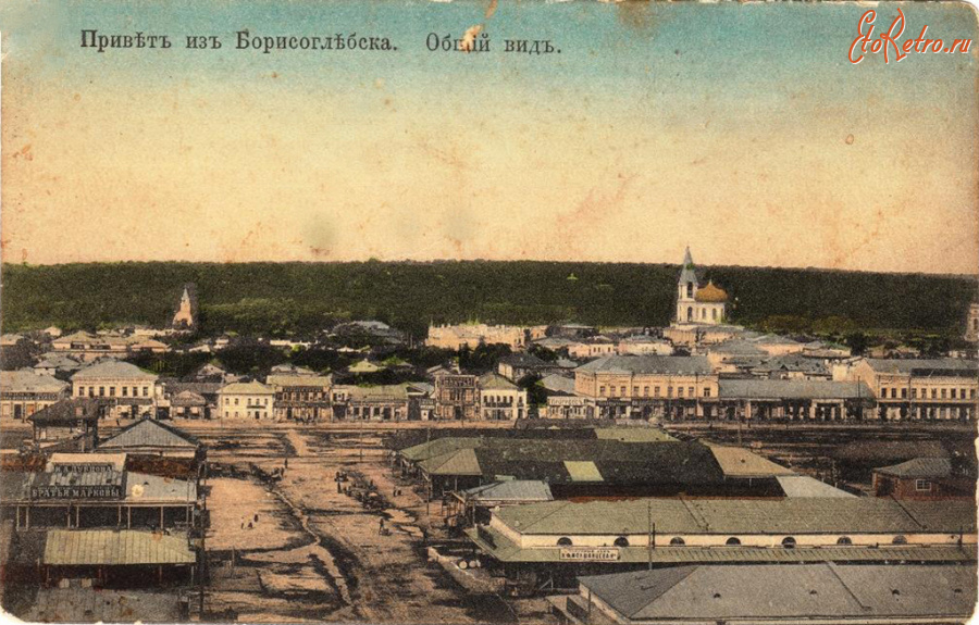 Борисоглебск - Общий вид.