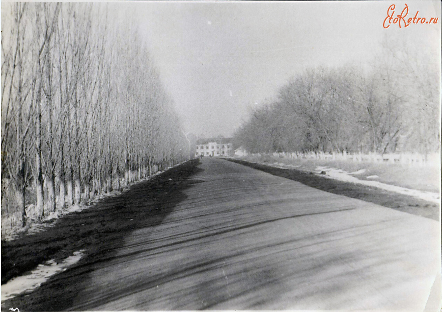 Эртиль - Улица Первомайская.