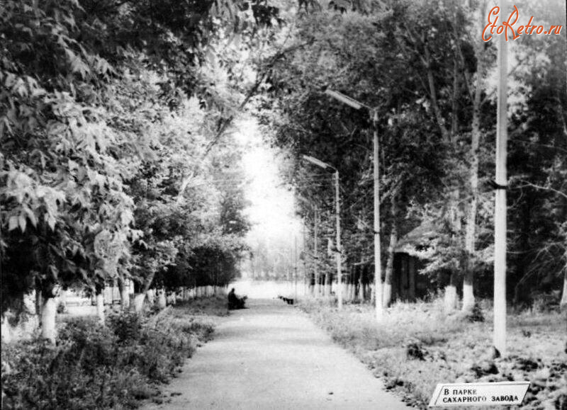 Эртиль - Парк сахарного завода.